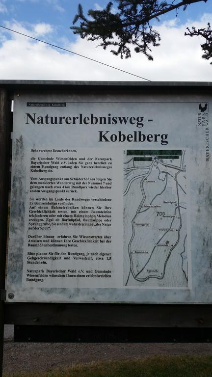 Waldgasthof - Hotel Schiederhof Wiesenfelden Eksteriør billede